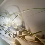 Apartment Duenengraf *